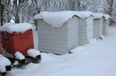 Peters Biavl.dk Peters Biavl.dk